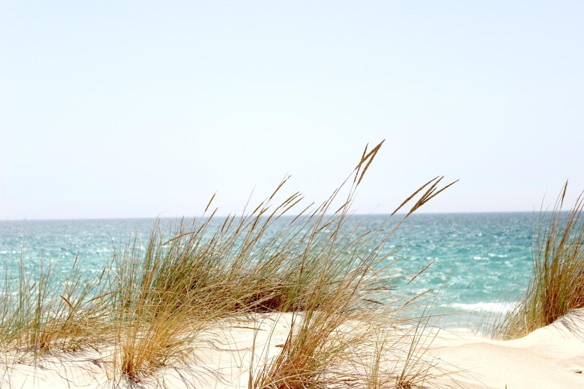 Ocean Sands Beach Inn (Adults Only) St. Augustine Kültér fotó