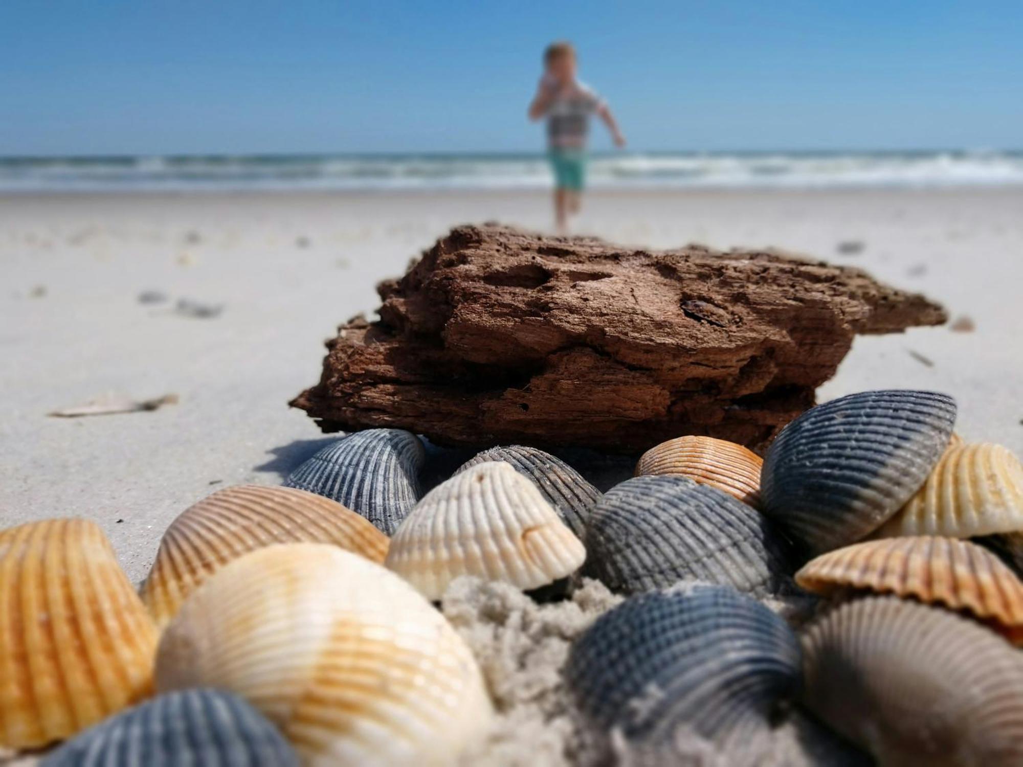 Ocean Sands Beach Inn (Adults Only) St. Augustine Kültér fotó